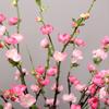 Artificial Cherry Blossom Flower Branches 70cm Silk Peach Spring for Wedding Decora Plum Blossom Wedding Arrangement Accessories
