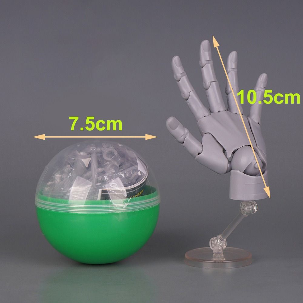 1:2 Scale Human Hand Model Mini Size Twisted Egg Design Palm Model Movable Joints With Posable Fingers Movable Finger Joints