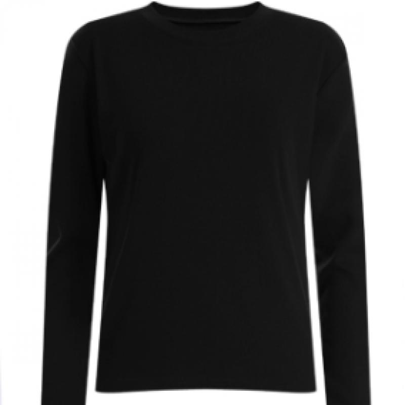 Shop Women Plain Round Span Long Sleeve T shirT Pink Dai Wsh 12094
