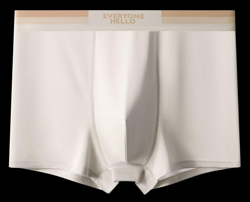 Summer Cool Solid Color Shorts Breathable Four Corners Thin Men's Underwear Ice Silk Flat Corners