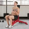 Adjustable Dumbbell Bench Multi-Position Workout Rack Gym Exercise Bench Weightlifting Stool Press and Full-Body Stool Gym Chair