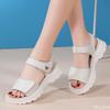 2026 New summer Women's Outdoors fashionable trend anti-slip wear-resistant shoes leisure comfortable soled high-heeled sandals