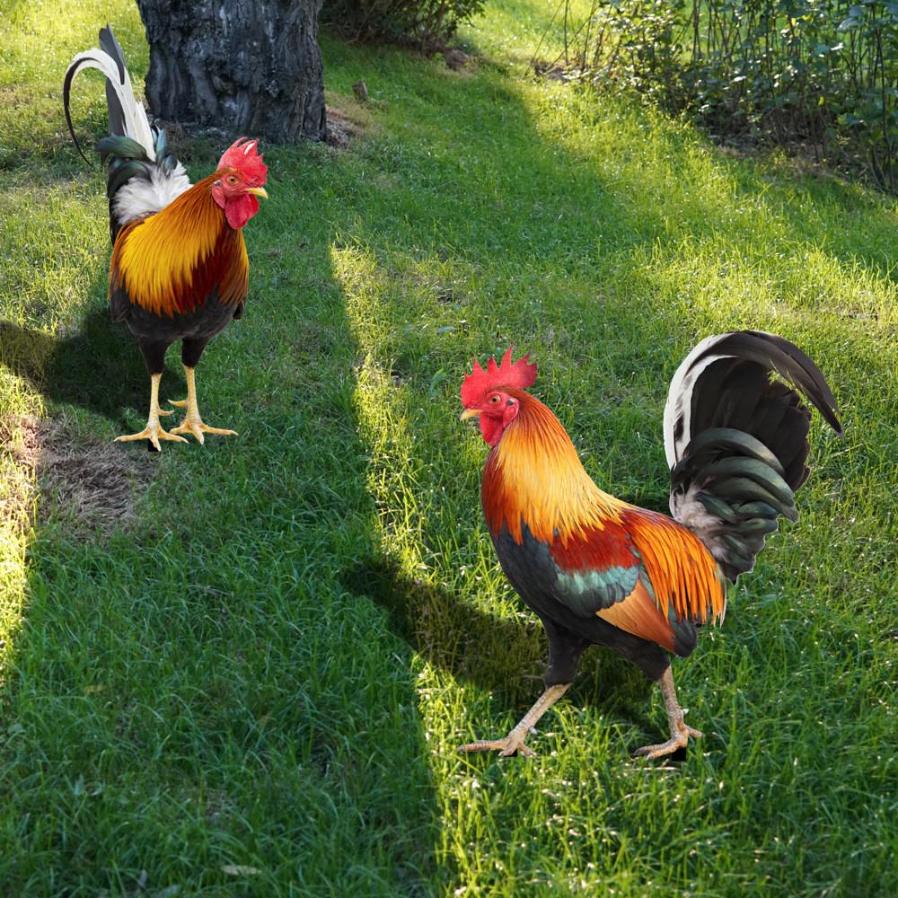 Rooster And Duck Theme Garden Yard Art Pvc Outdoor Decor With Printed Design For Lawn And Patio Use