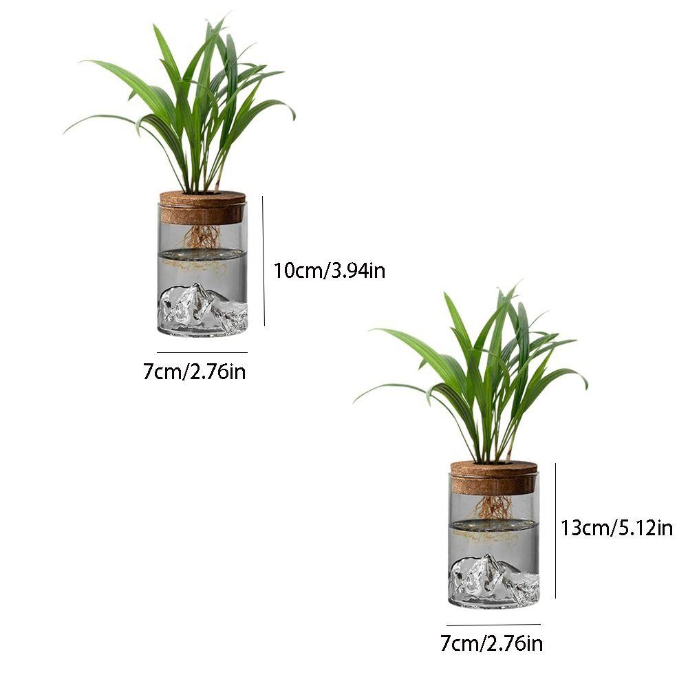 Thickened Flower Vase Glass Flower Pot Micro Landscape Bonsai Mountain Viewing Bottle Home