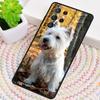 West Highland Terrier Westie TPU Phone Case For Samsung Galaxy note 10 pro S26 S25 S24 S23 S22 Ultra Plus S21 FE S20 Cover