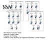 Lumbar Support Chair Workout 4Pcs 4-Week Exercise Chart for Seniors Full Body Seated Stretching Progressive Routine & Strength Poster Low-Impact Home