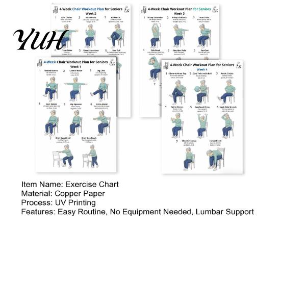 Lumbar Support Chair Workout 4Pcs 4-Week Exercise Chart for Seniors Full Body Seated Stretching Progressive Routine & Strength Poster Low-Impact Home