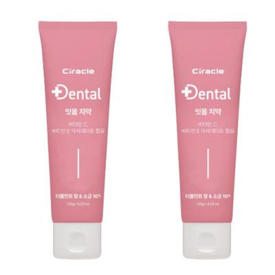 Dental Gum Care Salt Toothpaste 120g (1+1 Set) - 10% High-Concentration Salt & Double Mint Flavor