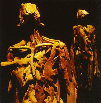 Μουσικά άλμπουμ