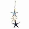 Coastal Beach Starfish Fish Wall Decor Hanging Ornament with Built-in Warm Light Home Art Piece