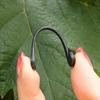 100Pcs Plant Vine Binding Clip Garden Plants Fixed Clip Buckles Tomato Vegetable Grape Support Vine Clip Fixed Plant Clip