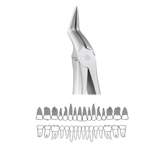 

GDC Extraction Forceps Upper Roots - 197.11 Secure (SFX197.11)