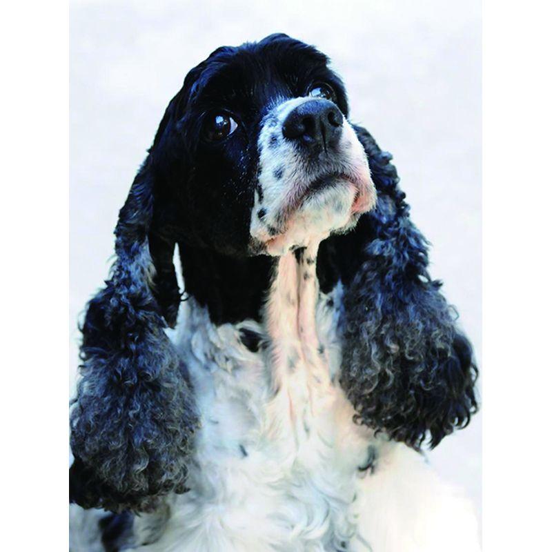 5D Diamond Painting Dog Cross Stitch სრული მრგვალი ბრილიანტის ნაქარგები მოზაიკა ცხოველთა ხელნაკეთი Rhinestone სახლის დეკორი