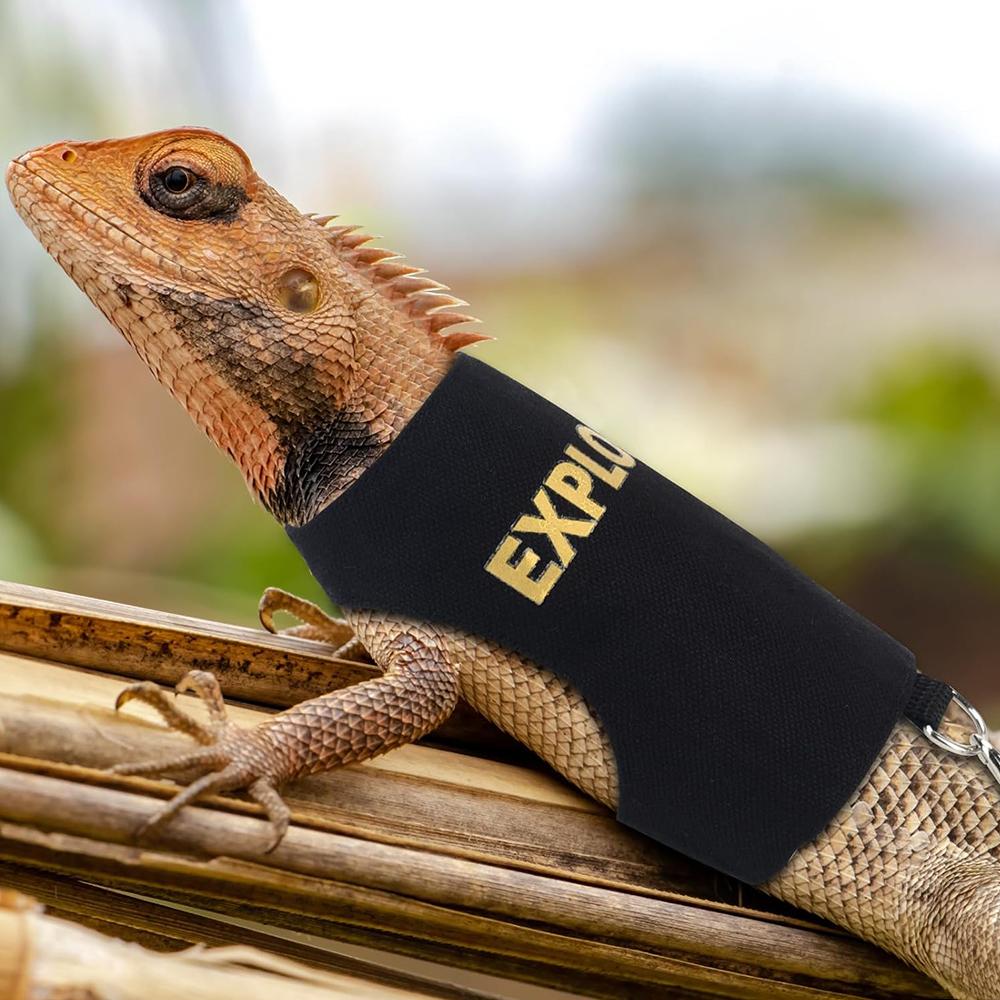 Justerbar Reptil Øgle Bånd Sele for Gåtur Utendørs