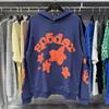 Maglione con stampa ragnatela, con cappuccio, pullover, casual, largo, nuovo
