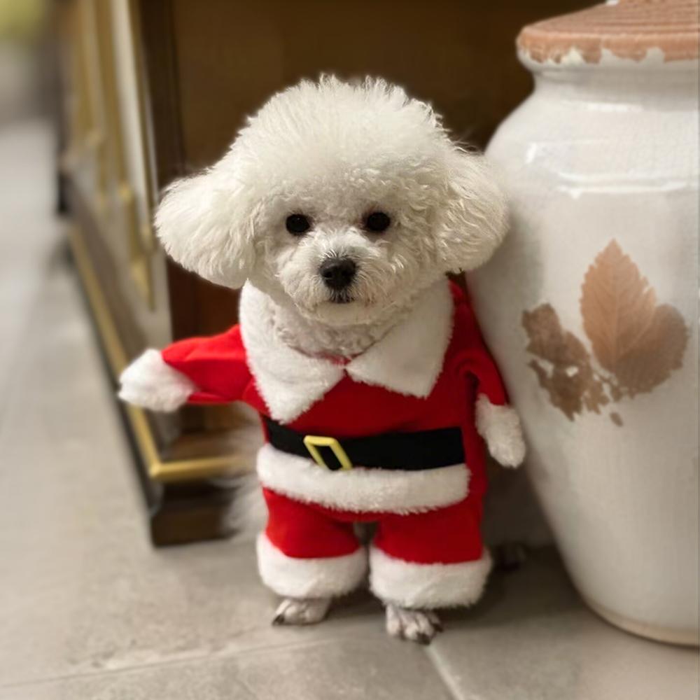 Pet Santa Claus Outfits for Small Dogs Cats Cosplay Clothes Cute Christmas Dog Costume Puppy Jumpsuit New Year Dress Up Gifts
