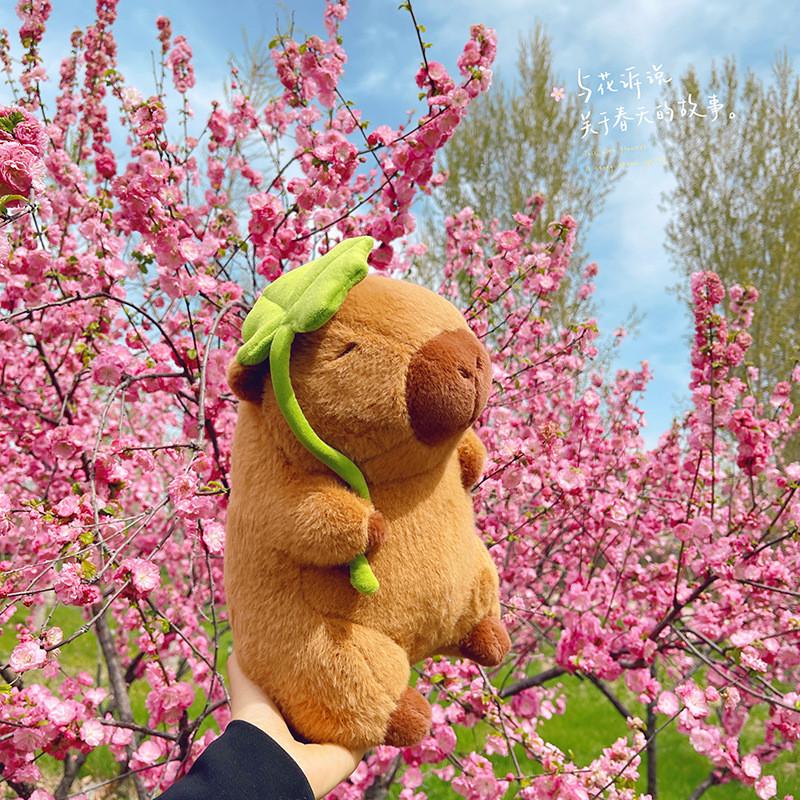 Capybara Lotus Creative Cute Animal Plush With Pp Cotton For Gift For Teens