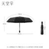 Paradise Automatic UV Protection Travel Umbrella