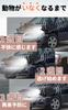 ISOTRONIC Car Rodent Engine Compartment Repellent with Flash and Ultrasonic Powered by Car or Installable Effective Area 78580 Repellent, Waves,