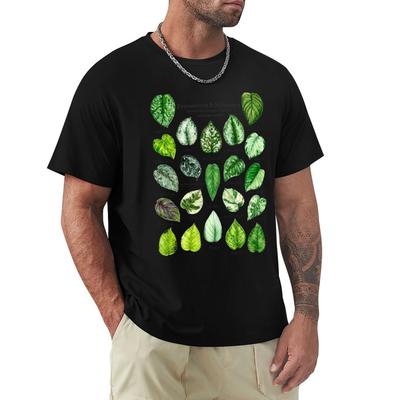 Scindapsus Pothos Varieties Light TShirt Oversized Oversized Graphic Tee Sublime Plus Size Clothes Tshirts for Men Cotton