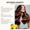 Eelhoe Nourishing Repair Shampoo For Dull And Frizzy Hair With Shiny Smooth Finish