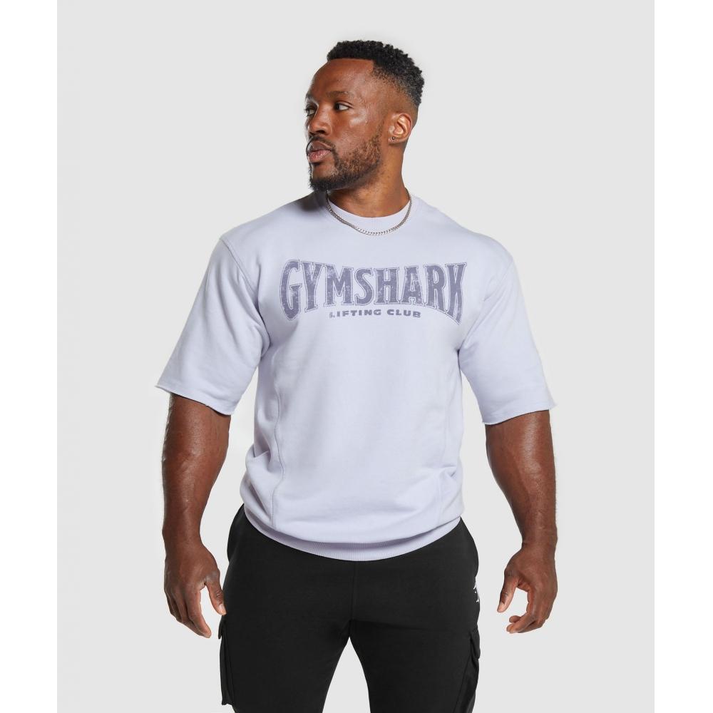 

GYMSHARK Heritage с мытым коротким рукавом, серебристо-сиреневый A4A8D PBYV L