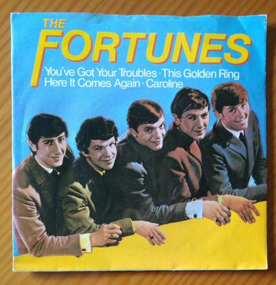7-Zoll-Schallplatte FORTUNES - You've Got Your Troubles F13891 Decca 1980 UK Rock Gebraucht
