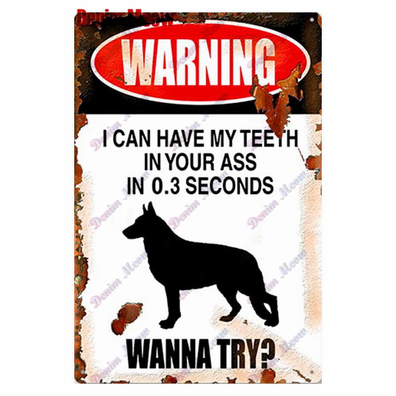 Vintage Beware of Dog, Metal Sign, Warning Danger, Protected Pit Bull Dog, No Bal, Wall Decor, Private Area Decoration, WY45