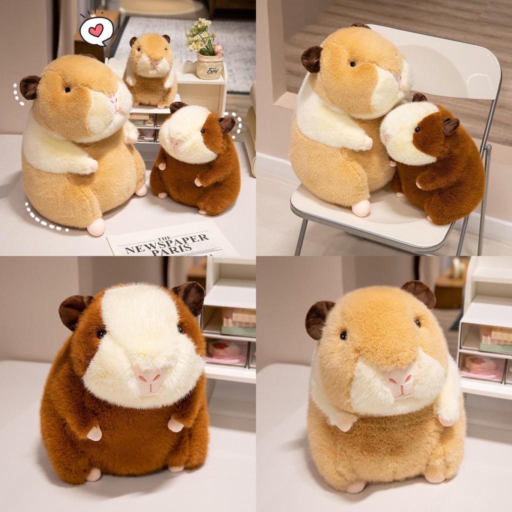 Guinea Domesticated Pig Stuffed Animal Cute Cartoon Girl Decorated Gift With