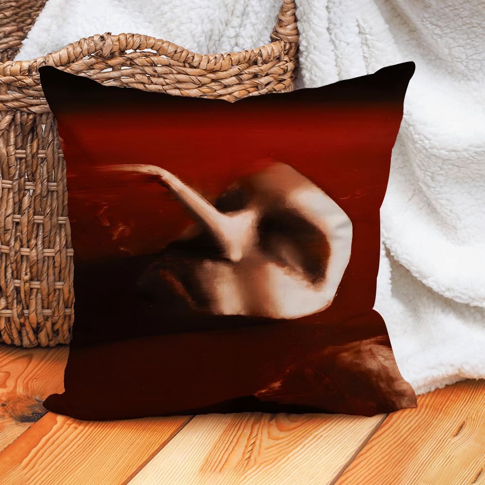 M-Maruja Pain To Power Pillow Case Home Cushion Cover Suitable For Office Sofa Car Suitable For All Seasons