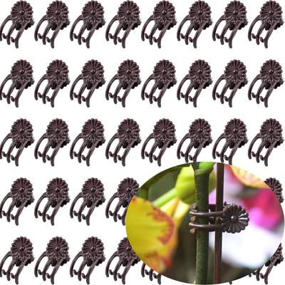 Orchid Stem Clip Plant Support Vine Plastic Clips Flower Grow Branch Clamps Garden Plant Support Fixture Bracket