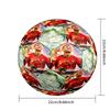 Ronaldo's Juventus Celebration Size 5 Soccer Football Machine-Stitched Indoor/Outdoor Training and Matches Soccer Accessory