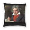Beethoven Portrait 9 Throw Pillow Cover Decorative Pillow Funny Cushion Covers