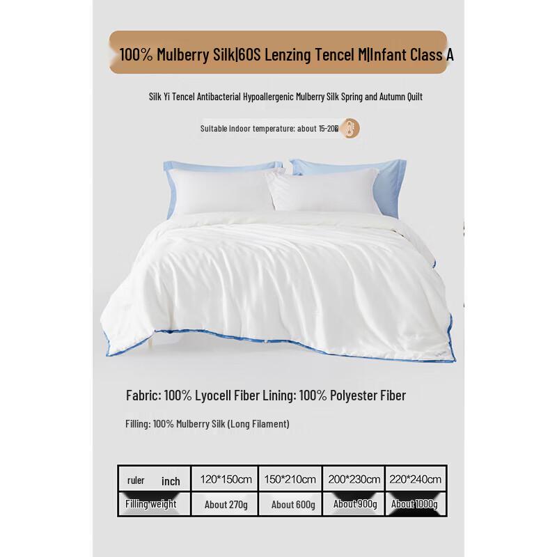 Mercury Home Textiles 100% Mulberry Silk Quilt with Tencel Cover