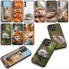 Phone Cover Hedgehog Fox Coque for Samsung Galaxy S25 S24 S22 S23 FE Ultra Plus A56 A05 A06 A15 A16 A55 S7 Edge Case