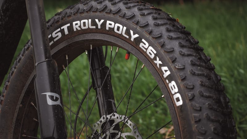 Tire 26X4.8 Cst Roly Poly Fat Bike Wire 122-559 60Tpi