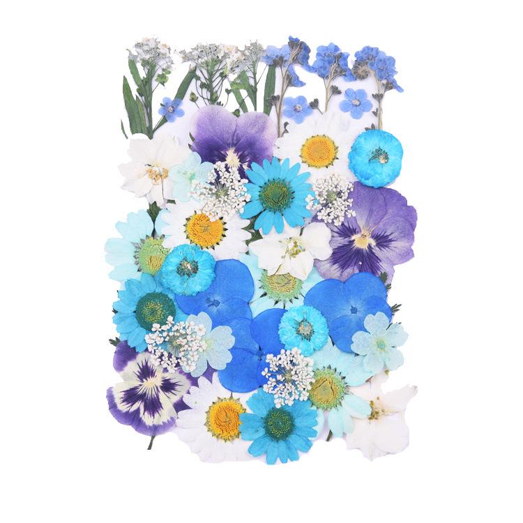 Dried Flowers Real Natural Plant Pressed Flower For Epoxy Resin Filling DIY Keychain Pendant Silicone Mold Jewelry Making Crafts