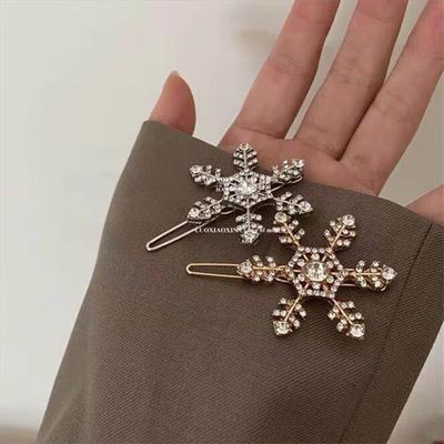 Haar-Accessoires – Haarklammern