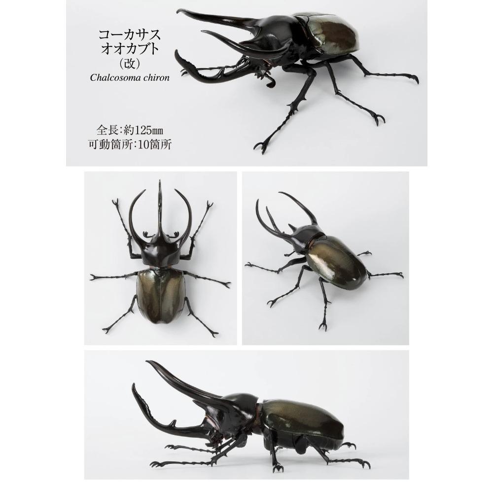 Original Capsule Toys Creature Encyclopedia: Beetles 10 Movable Joints Insects Miniature Model Assembly Collection Gacha Figures