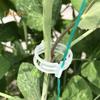 500 Pcs Plant Trellis Clips Reusable Plastic Clips for Climbing Plants Gentle Garden Support Clips for Tomatoes Vines Cucumbers Grapes