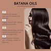 Hair care oil repairs dry and frizzy hair, moisturizes the scalp and softens it, daily massage hair care oil 40ml