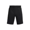 Casual Shorts Men's Black Moderate Unisex 1372891-001