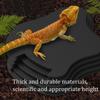 Roomajad – Roomajate terraariumid