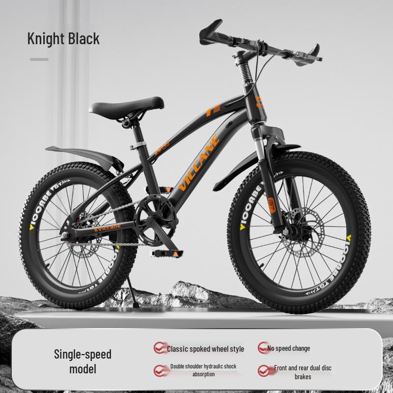20 Inch Variable Speed Mountain Bike for Children Ages 7-11