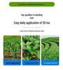 Stainless Steel Manual Corn Fertilizer Applicator for Soil Topdressing and Sidedressing