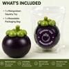 Adult Geek Workspace Desk Setup Mangosteen Squishy Fake Fruit Block Filled Zero Rebound Moldable Squeeze Ergonomic Hand Prop