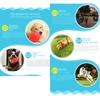 Bite Resistant Indestructible Bouncy Ball Dog Chew Toys Dog Training Interactive Ball  Pet