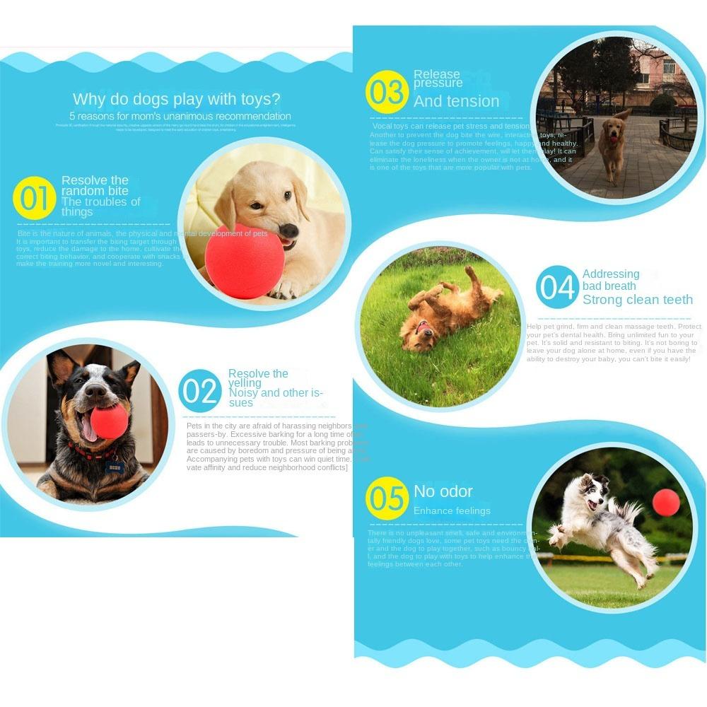 Bite Resistant Indestructible Bouncy Ball Dog Chew Toys Dog Training Interactive Ball Pet