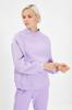 Women's Fashion New Sweatshirt Mink Thick Inside Fleece High Collar Relaxed Comfortable Fit Knitted Sweatshirt
