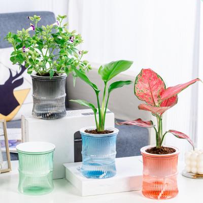 Decorațiuni pentru casă – Ghivece de flori decorative